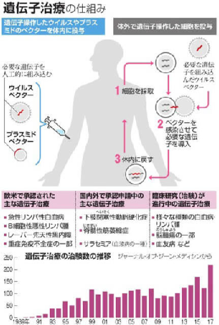 遺伝子治療の仕組み